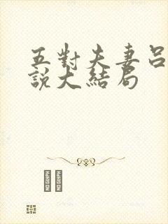 五对夫妻吕哥小说大结局