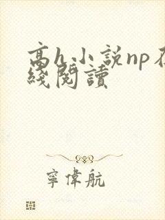 高h小说np在线阅读封面