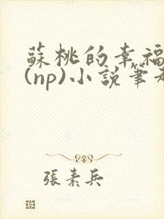 苏桃的幸福生活(np)小说笔趣阁沐沐