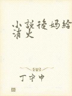 小说后妈给我消消火