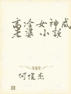 高冷女神成了我老婆 小说封面