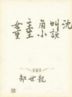 女主角叫沈晚的重生小说