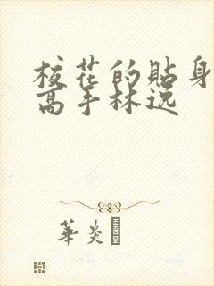校花的贴身高手高手林逸