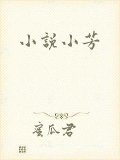 小说小芳封面