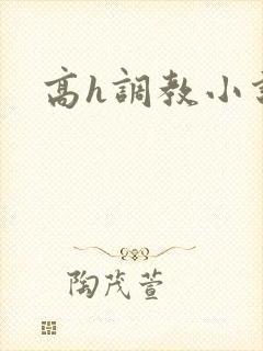 高h调教小说封面