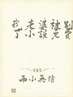 我老婆被别人操了小说免费阅读全文