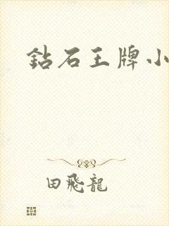 钻石王牌小说