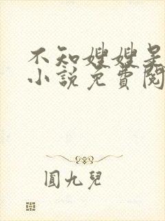 不知嫂嫂是驸马小说免费阅读