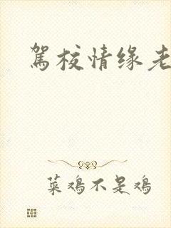 驾校情缘老赵
