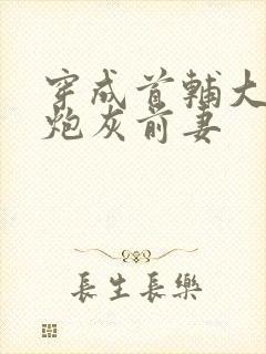 穿成首辅大人的炮灰前妻