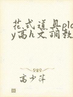 花式道具play高h文调教