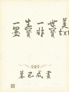 一生一世美人骨墨宝非宝txt