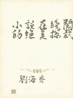 小说在线阅读我的绝美总裁老婆封面