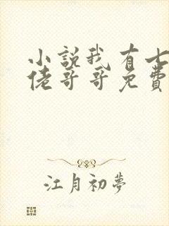 小说我有七个大佬哥哥免费阅读封面