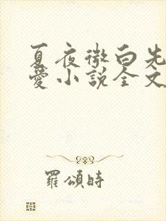夏夜微白先婚后爱小说全文免费阅读