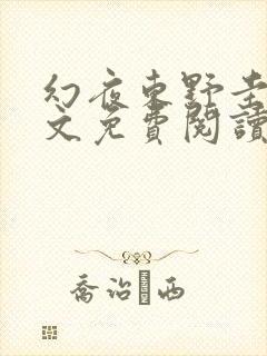 幻夜东野圭吾全文免费阅读