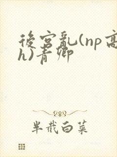 后宫乱(np高h)青卿
