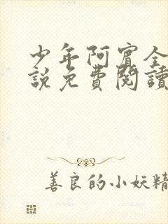 少年阿宾全文小说免费阅读