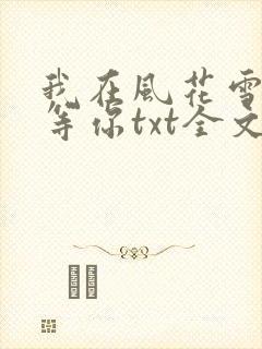 我在风花雪月里等你txt全文下载