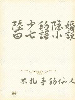 陆少的隐婚罪妻白七诺小说