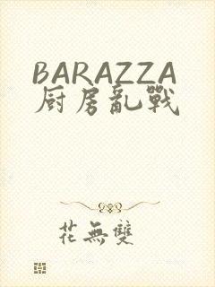 BARAZZA厨房乱战