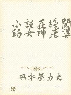 小说在线阅读我的女神老婆