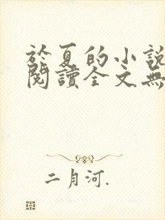 于夏的小说免费阅读全文无弹窗封面
