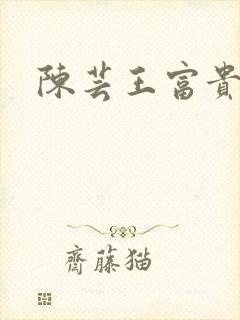 陈芸王富贵小说