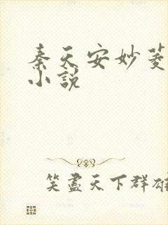 秦天安妙菱修仙小说