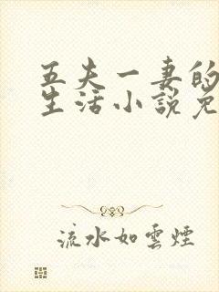 五夫一妻的幸福生活小说免费阅读全文封面
