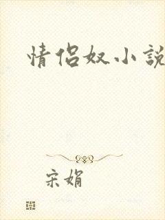 情侣奴小说封面