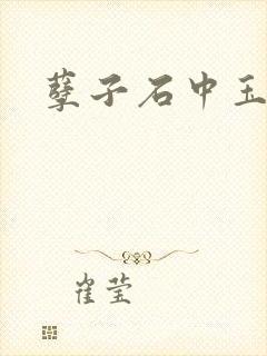 孽子石中玉封面