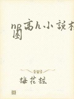np高h小说校园
