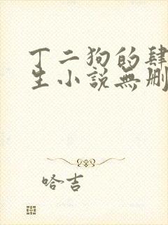 丁二狗的肆意人生小说无删减txt封面