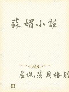 苏媚小说