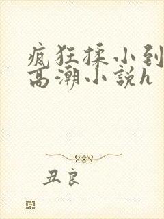 疯狂揉小到失禁高潮小说h