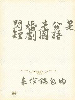 闪婚老公是豪门短剧国语