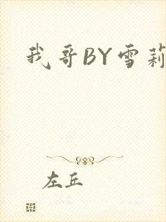 我哥BY雪莉封面