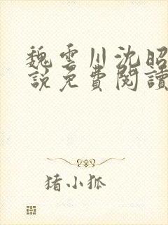 魏云川沈昭禾小说免费阅读笔趣阁