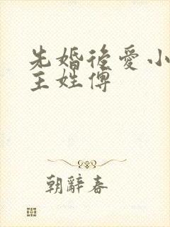 先婚后爱小说男主姓傅