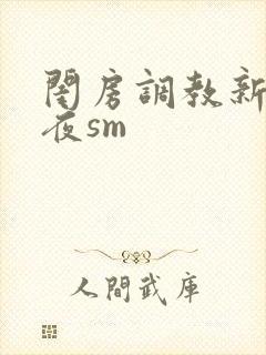 闺房调教新婚之夜sm封面