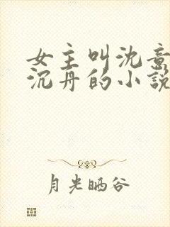 女主叫沈意欢陆沉舟的小说