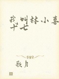 我叫林小喜今年十七