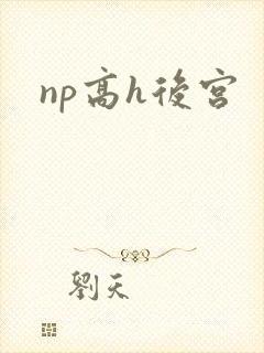 np高h后宫