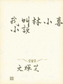 我叫林小喜乖宝小说封面