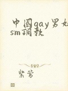 中国gay男奴sm调教