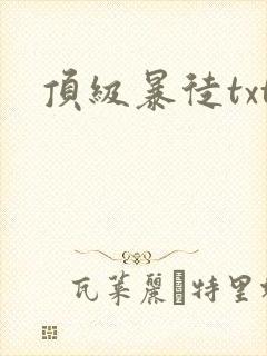 顶级暴徒txt