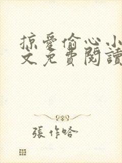 掠爱偷心小说全文免费阅读封面