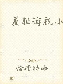 羞耻游戏小说封面