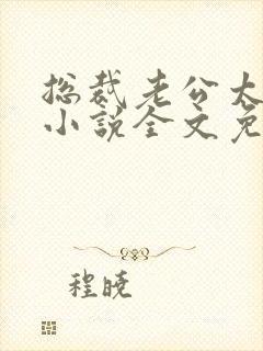 总裁老公太粗鲁小说全文免费阅读